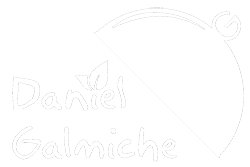 daniel galmiche logo light